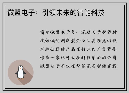 微盟电子：引领未来的智能科技